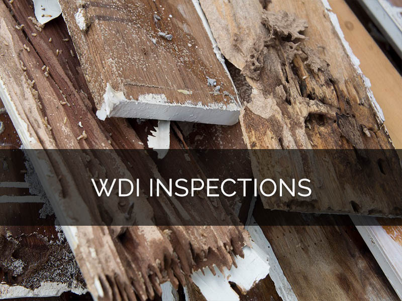 san antonio wdi-inspections